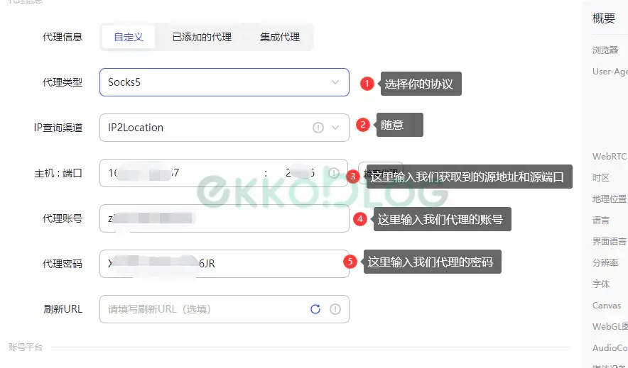 图片[5]-无需梯子使用代理IP教程-EkkoBlog